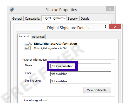 Screenshot of the LSI Corporation certificate
